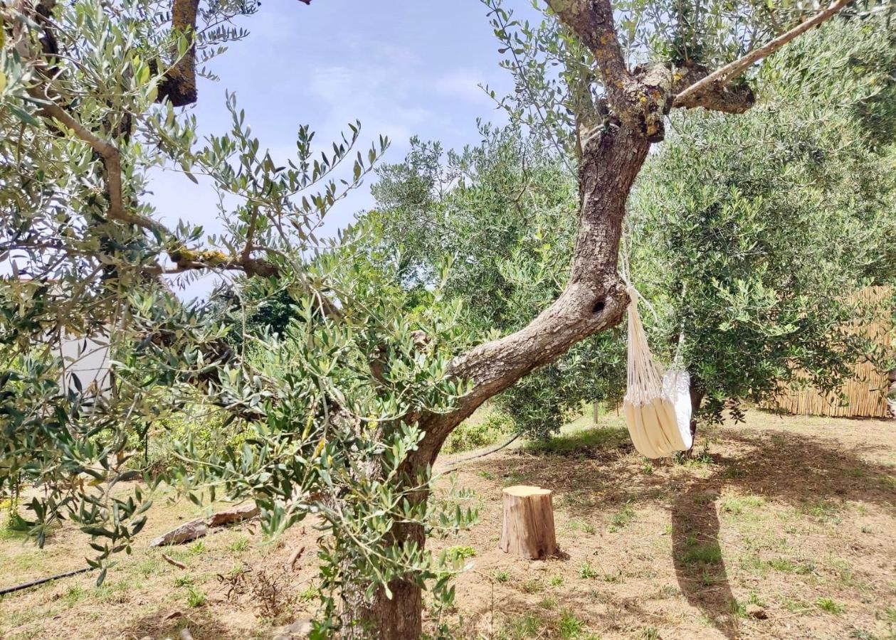 Bed and Breakfast Nostos Casale Сант-Агата-суи-Дуэ-Гольфи Экстерьер фото